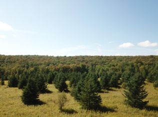0 Chapin Rd, Georgetown, NY 13072