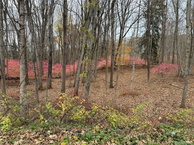 334 Bedford Banksville Road, Bedford, NY, 10506