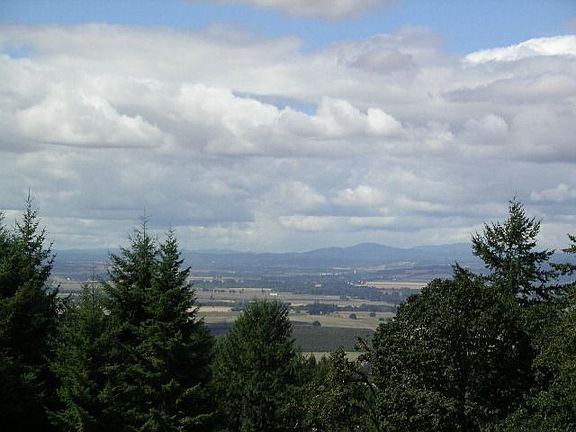 The Valley Below