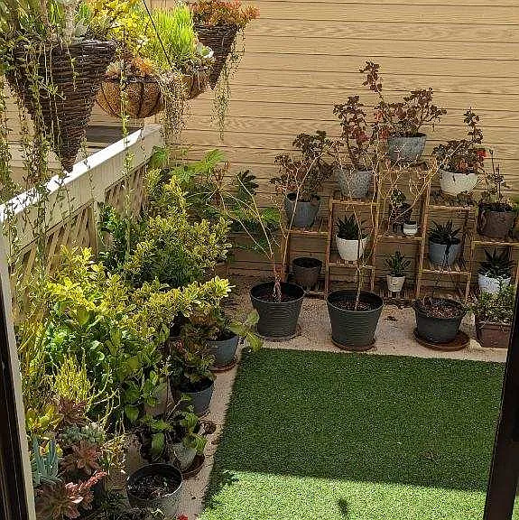 942 La Mesa Ter #B — Photo 6