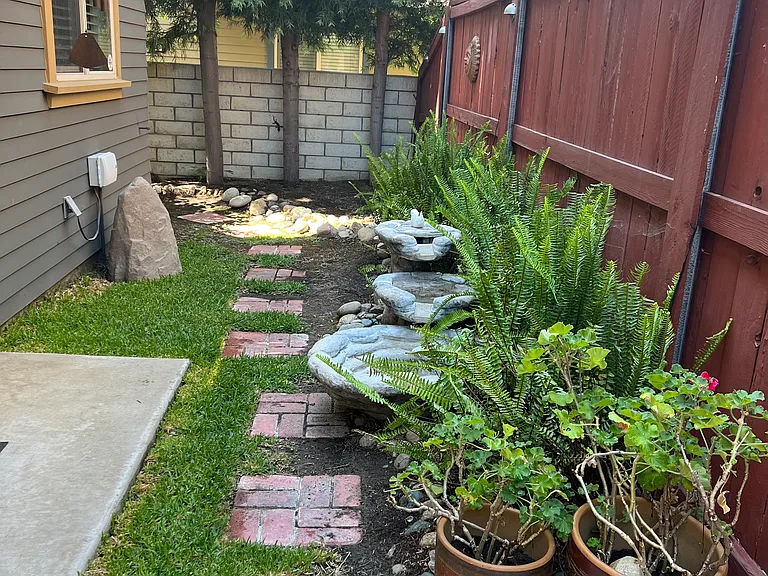 Backyard.