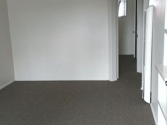New Carpet