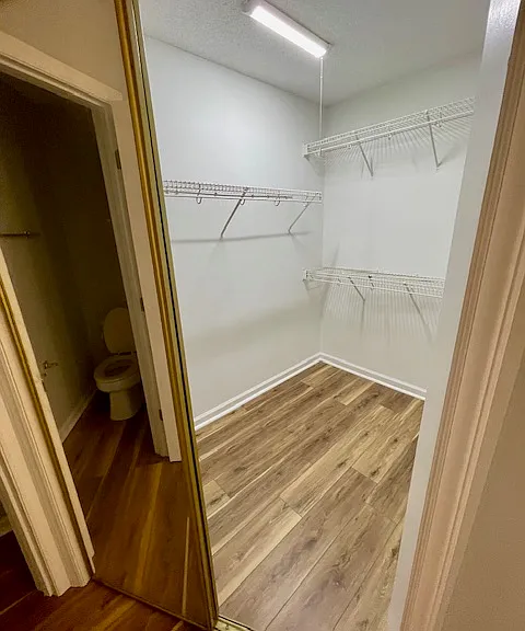 Walk-in master bedroom closet