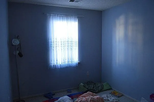 2395 Hunters Square Ct — Photo 10