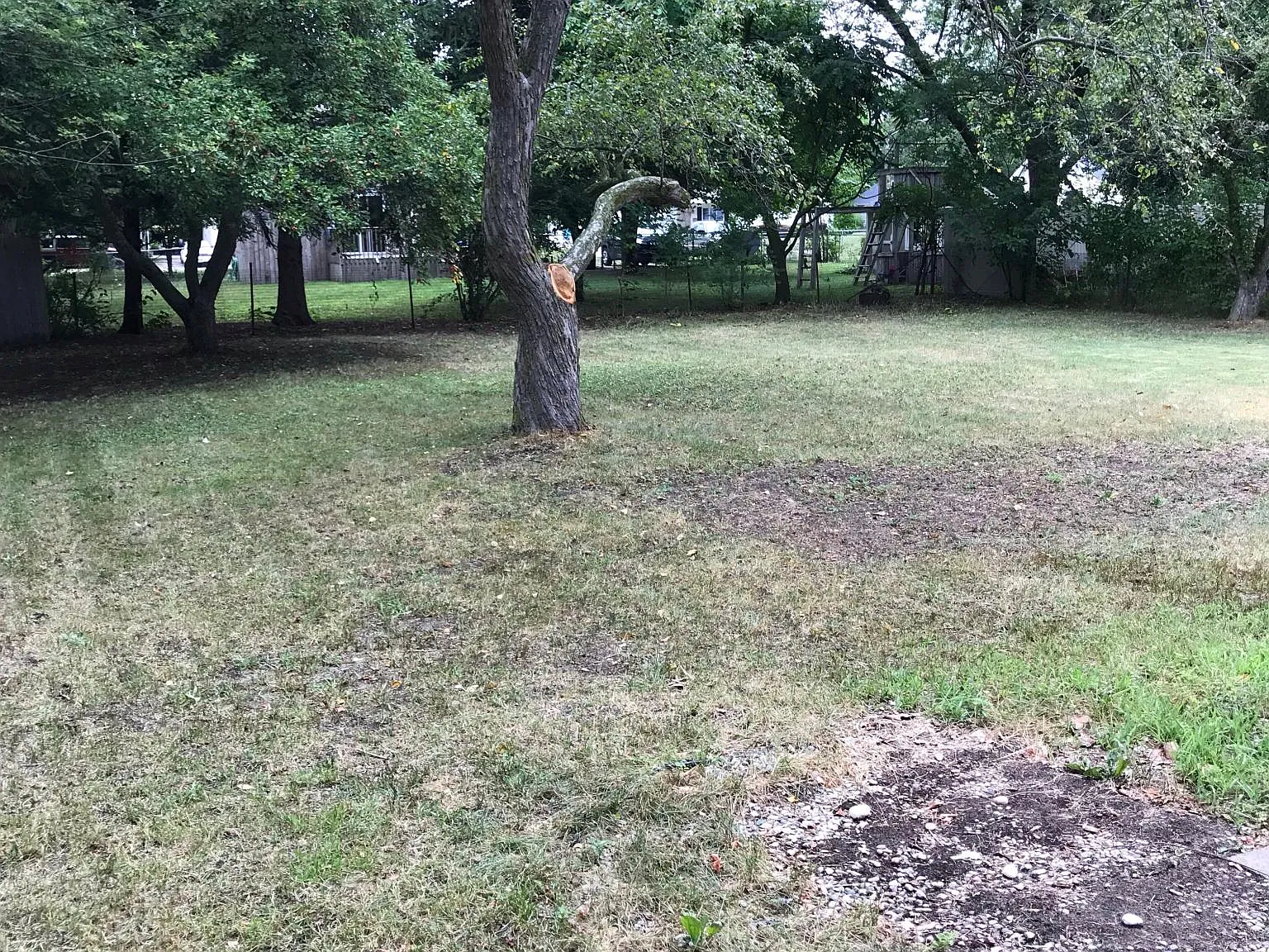 825 Crosslanes St — Photo 4