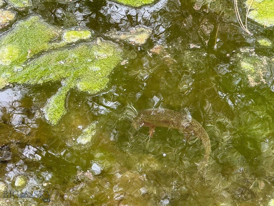 1st image of 2270 Lynx Trail Dr