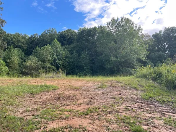 0 Ash Loop Rd, Blue Ridge, GA 30513