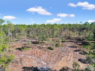 TRACT Two Old State Rte, Waynesville, GA 31566