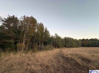 Kelley Rd, Olanta, SC 29114