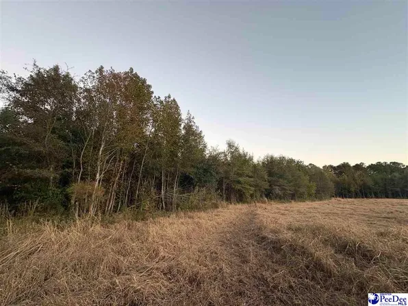 Kelley Rd, Olanta, SC 29114