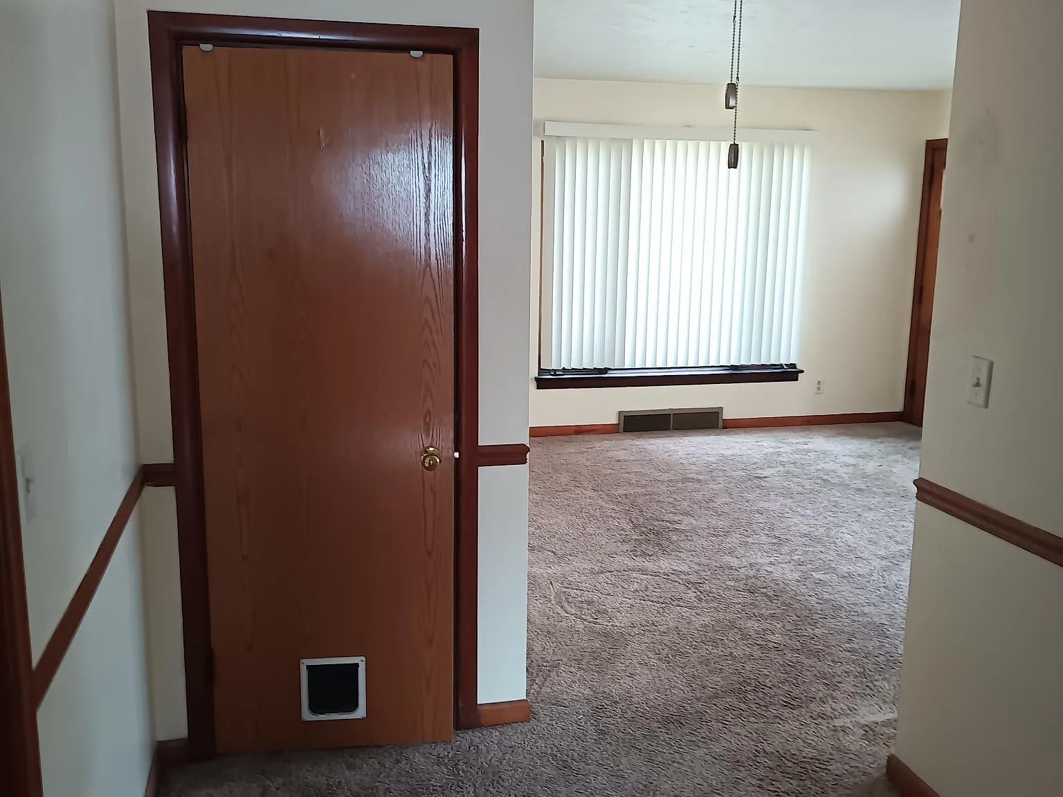 1 bed, 550 sqft, $800 — Photo 3