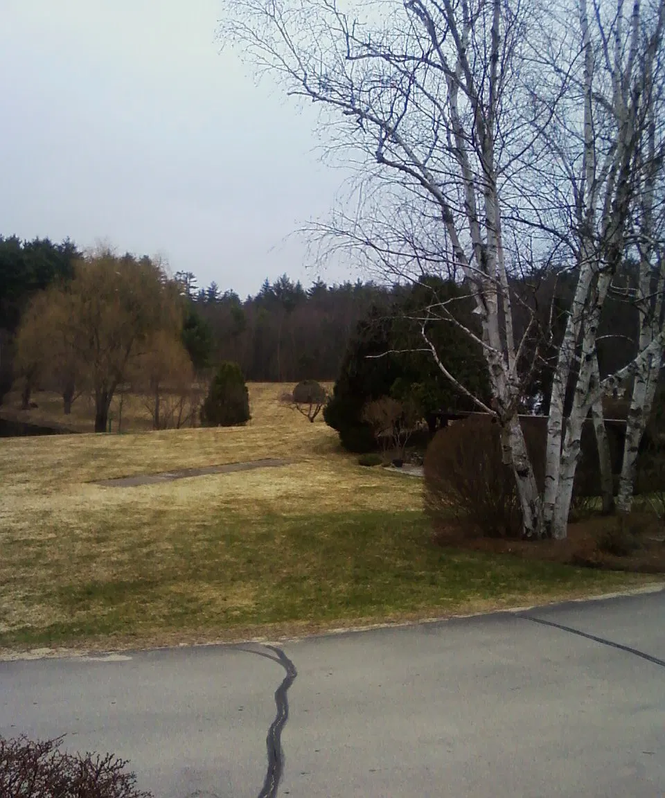 1 bed, 1.5 bath, 1154 sqft, $2,600 — Photo 3
