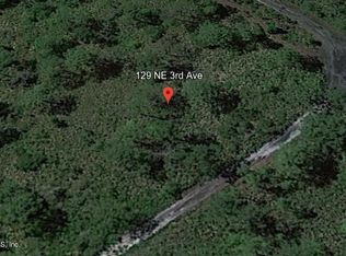 129 NE 3RD Avenue, Palatka, FL 32177