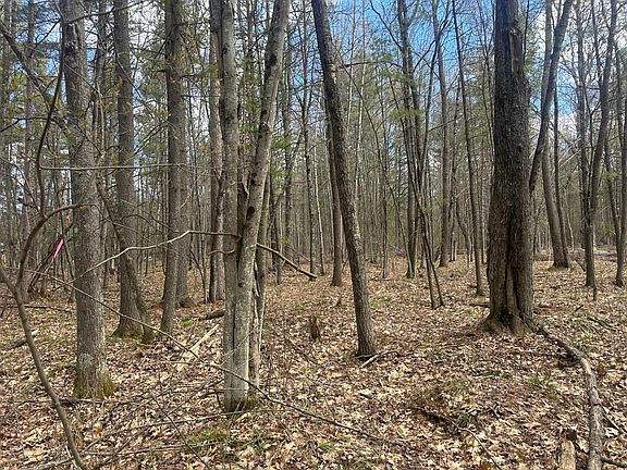 5th image of LOT 5 Pine Breeze Way