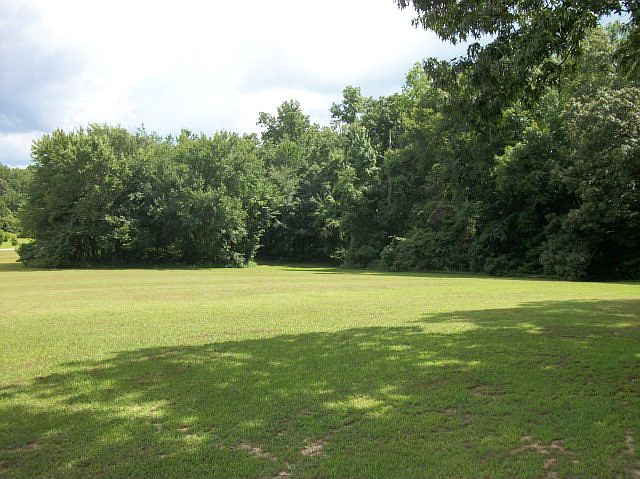 2nd image of Quail Cv