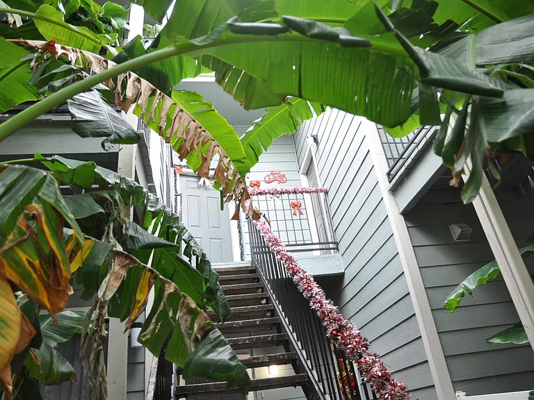 3754 Tanglewilde St #C16 — Photo 29