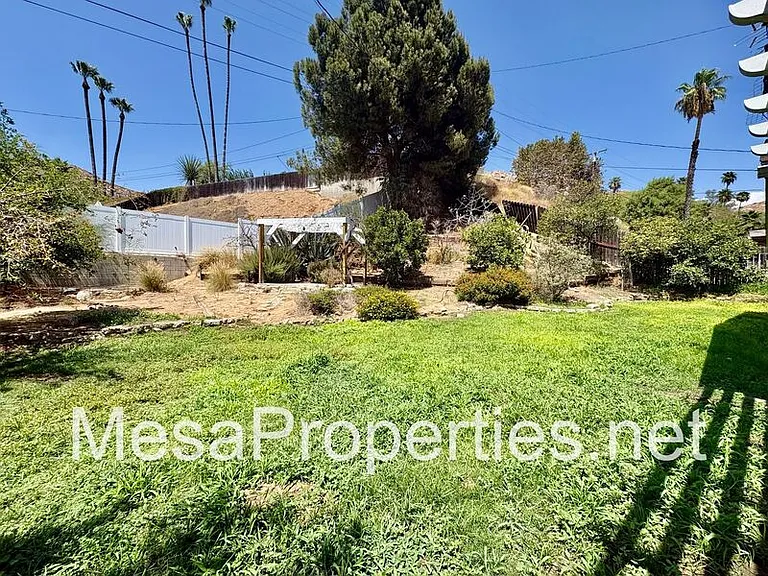 561 Spruce St — Photo 7
