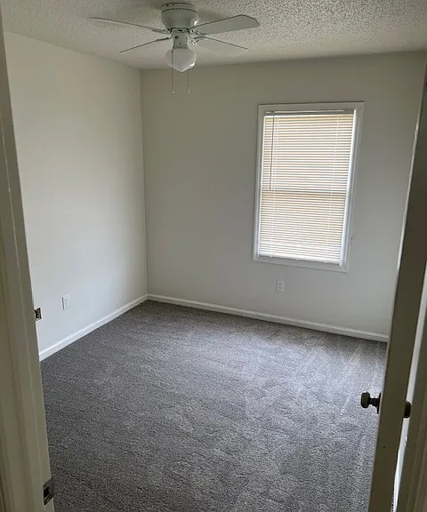 533 Nicoll St — Photo 3