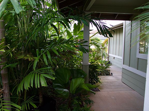 4th image of 1263 Kukulu St