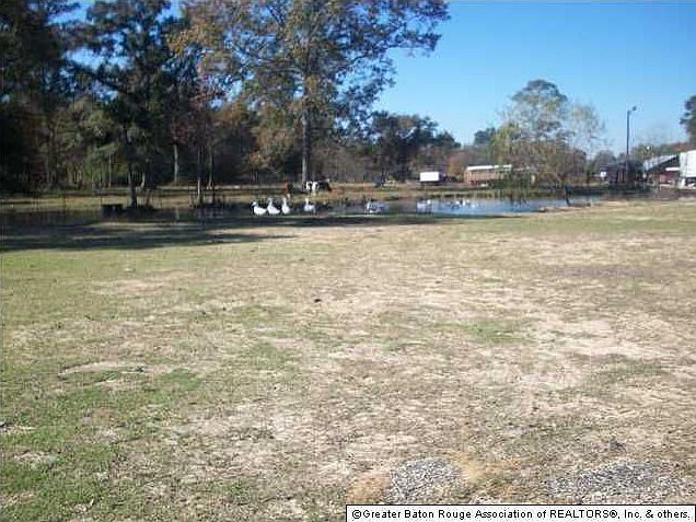 2nd image of 30774 La Highway 16