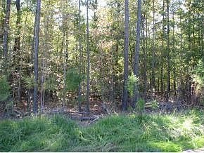 2nd image of 213 Wickham Trl