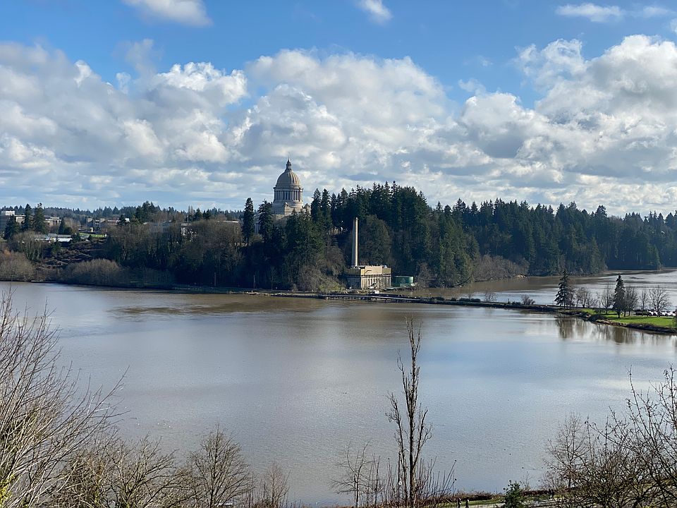 View from the Property