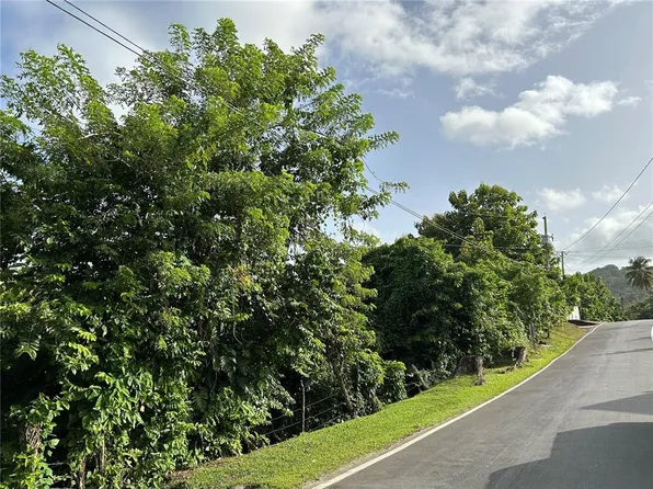Carr #913, San Lorenzo, PR 00754