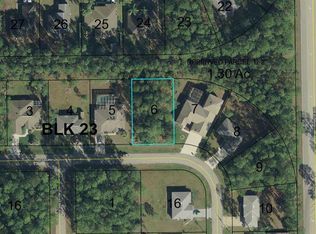 42 Reybury Ln, Palm Coast, FL 32164