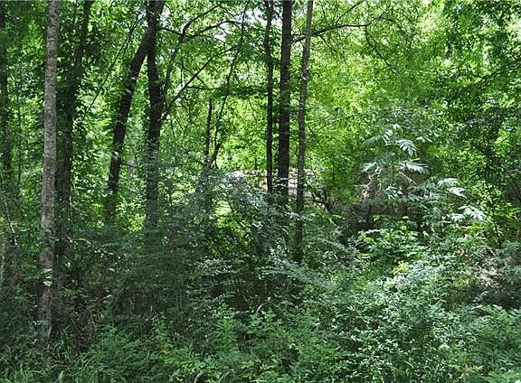 4th image of 240 Paul Ln