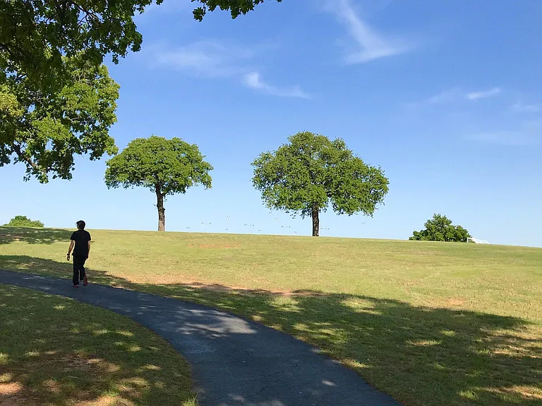 Walking trail