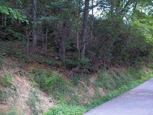 3rd image of Arbon Dr