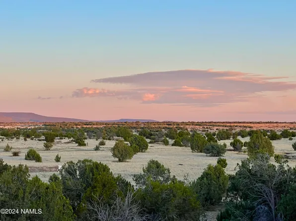 317 W Forest Line Cir, Williams, AZ 86046