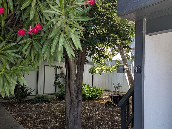 4th image of 877 Sonoma Ave #12
