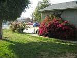 2nd image of 6172 Marshall Ave