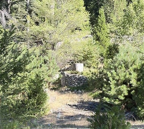 5th image of 27263 State Highway 189 #3