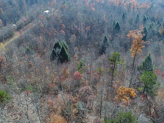 2nd image of 4520 Mill Creek Rd