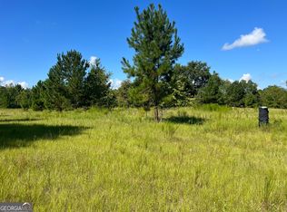 171 Hawk Ln, Eastman, GA 31023