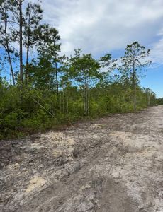 TBD Fowler School Rd., Loris, SC, 29569