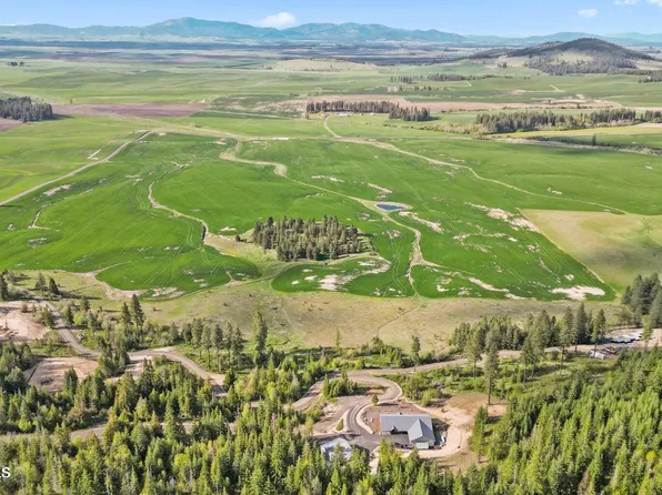 9 Lonely Moose Ln, Plummer, ID 83851