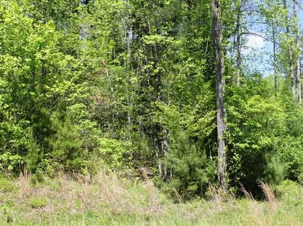 9 Mint Ln, Callaway, VA 24067
