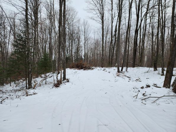 On Cth #T, Wabeno, WI 54566