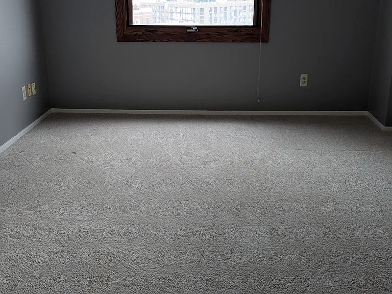 121 Washington Ave S #1016 — Photo 7