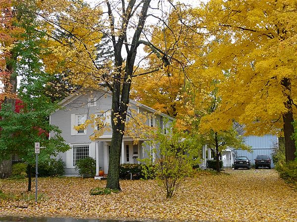 Hometown halloween 056