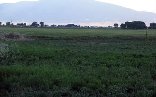 2nd image of 1488 County Road 10 S