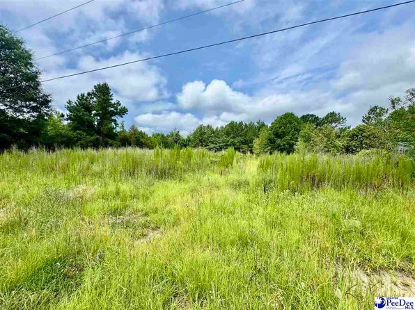 Nessey Ct, Marion, SC 29571