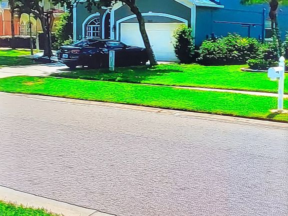 Cross the Street