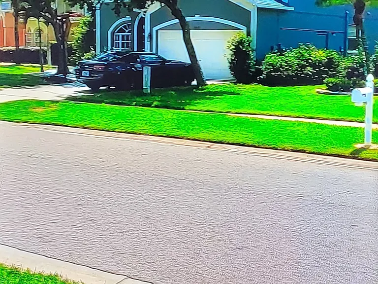 Cross the Street