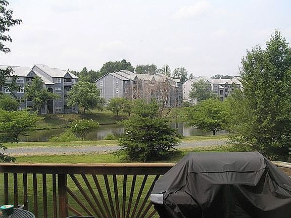View From Back