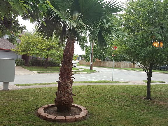 4th image of 14200 Sarah Ann Dr