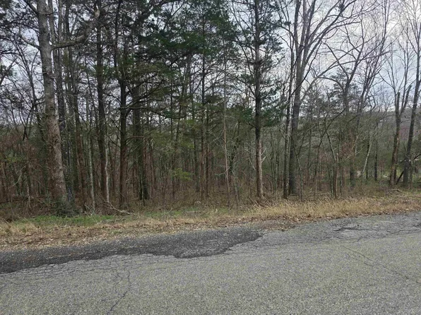 L9-B3 Mineola Dr, Cherokee Village, AR 72529